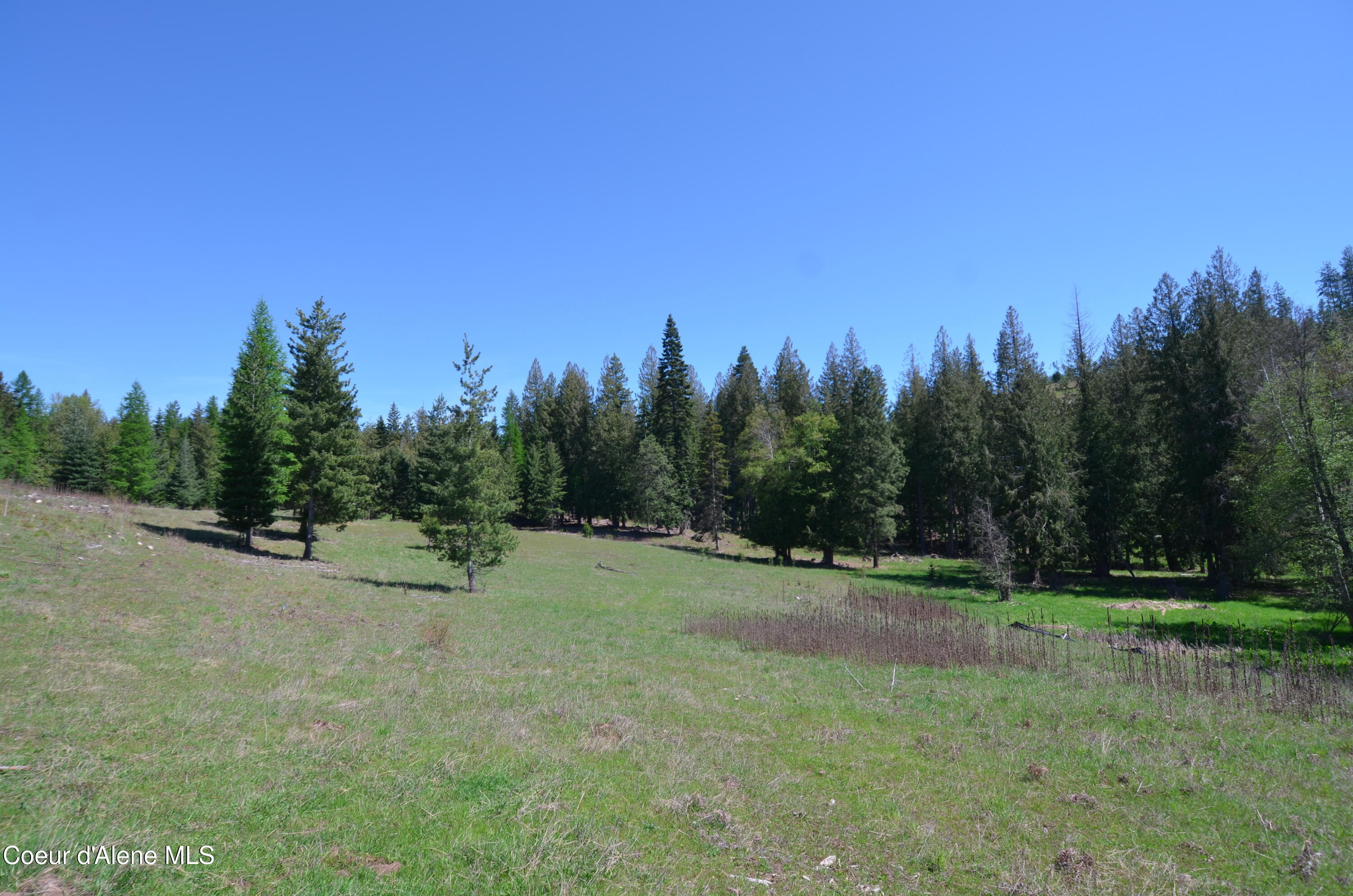 8 North N Camp Sagle, ID 83860 - Photo 11 of 37 Views of Lot 8