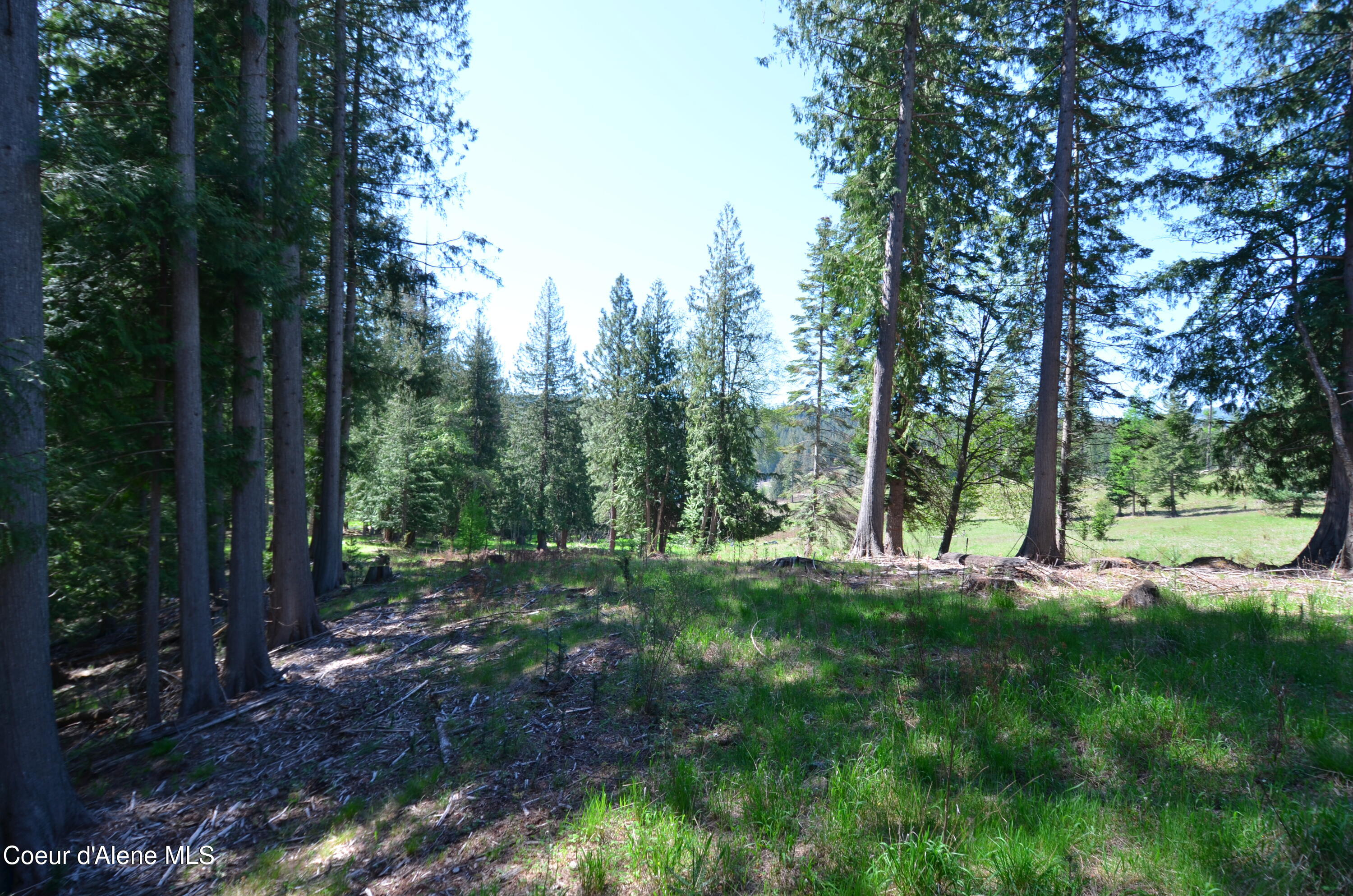 8 North N Camp Sagle, ID 83860 - Photo 13 of 37 Views of Lot 8