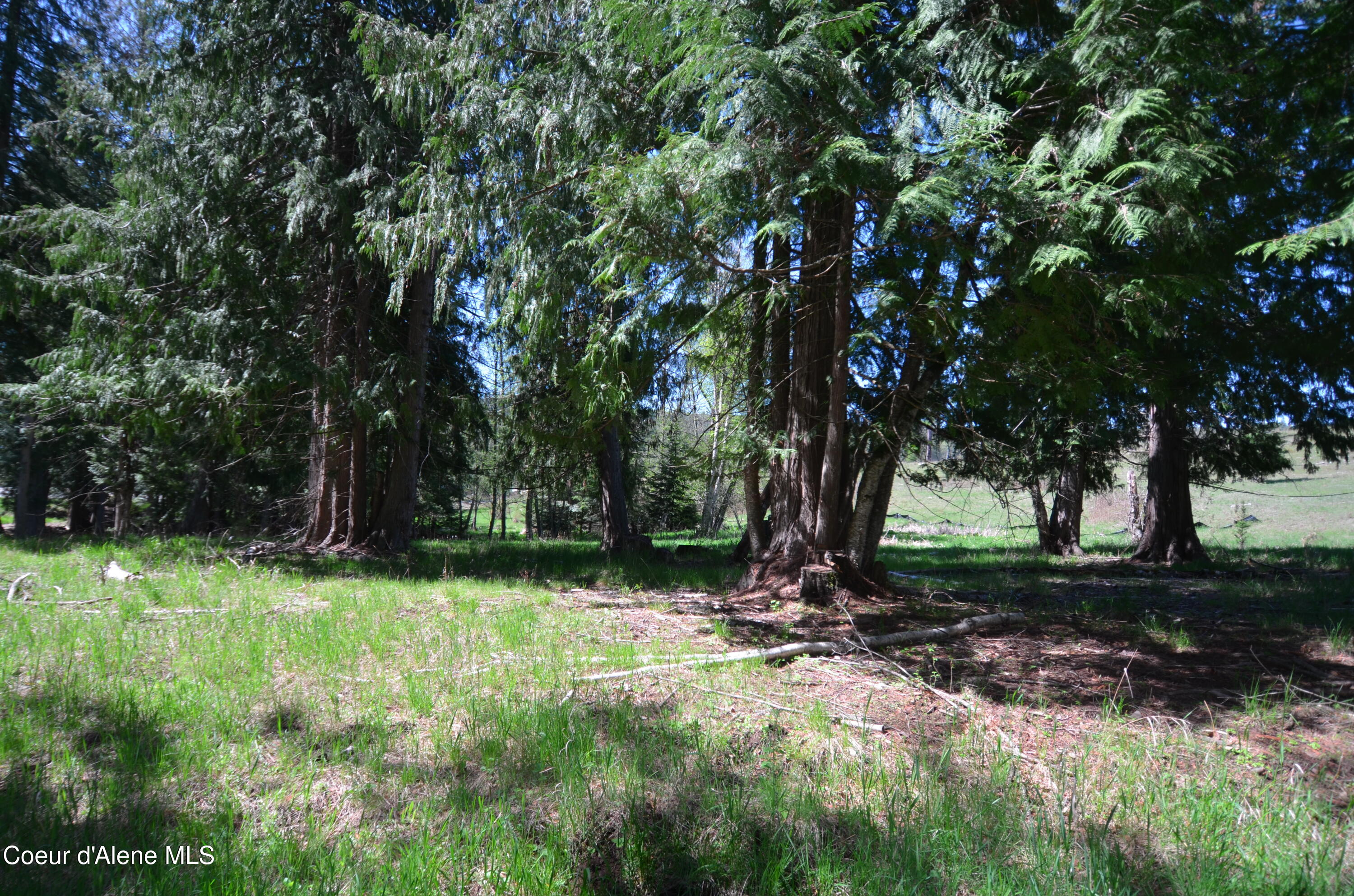 8 North N Camp Sagle, ID 83860 - Photo 15 of 37 Views of Lot 8