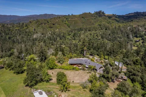 a view of a lush green hillside and a houses