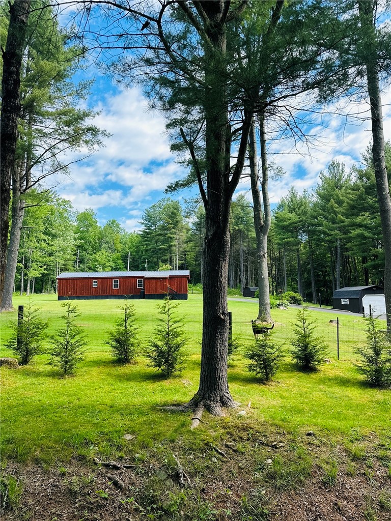 385 Lyon Road Bainbridge, NY 13733 - Photo 2 of 25