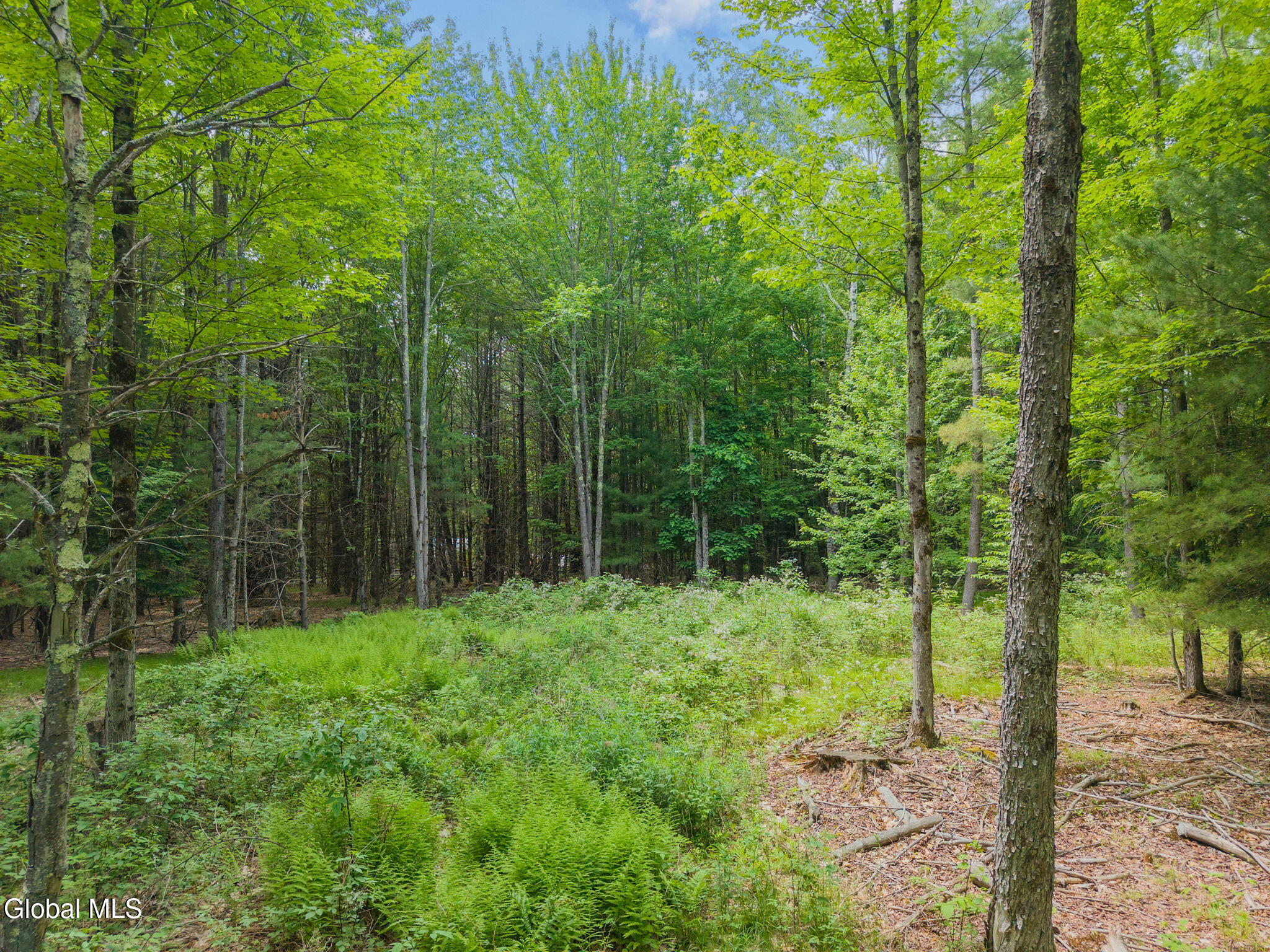 368 Brand Road Gilboa, NY 12076 - Photo 73 of 76 88-368BrandRd_50