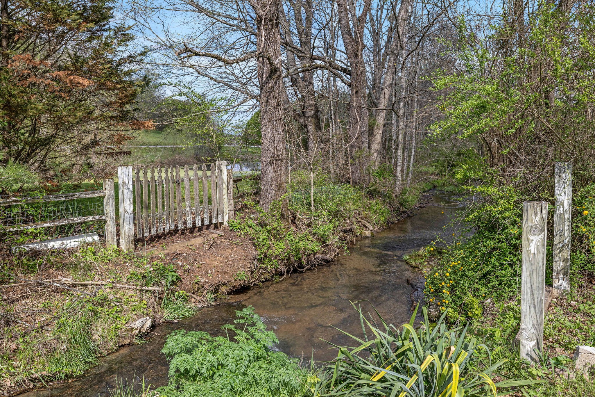 4636 Stockard Road Culleoka, TN 38451 - Photo 42 of 58 Gallery Image 42