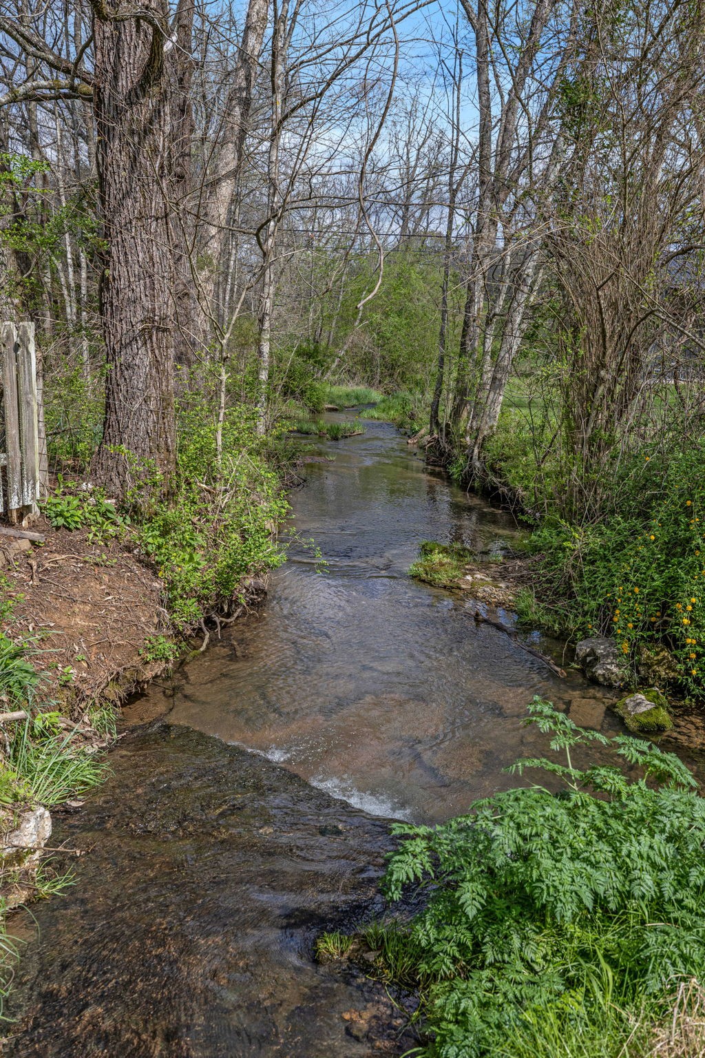 4636 Stockard Road Culleoka, TN 38451 - Photo 43 of 58 Gallery Image 43
