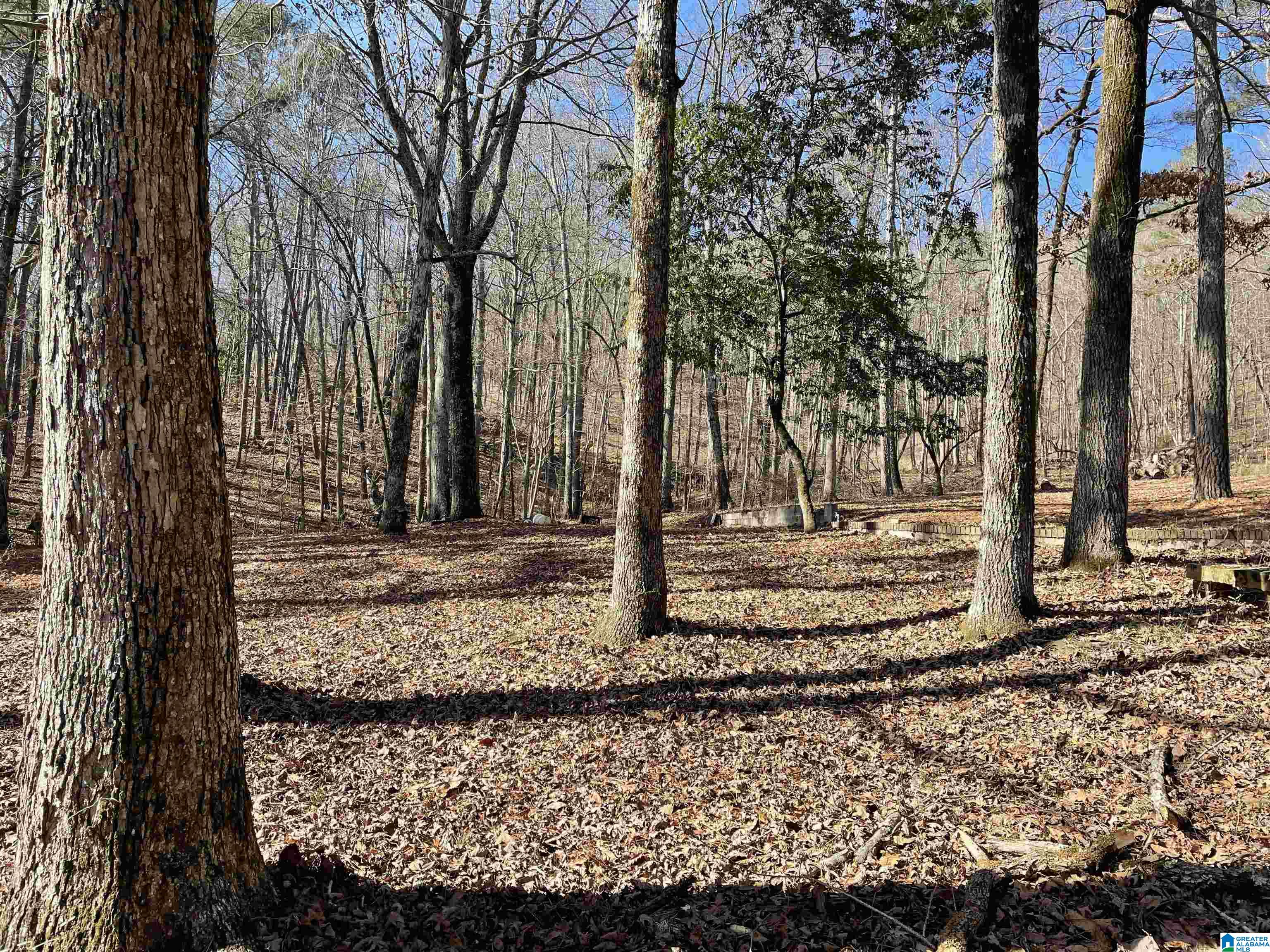856 Whorton Bend Road, Unit 128 84 130 Rainbow City, AL 35906 - Photo 33 of 38