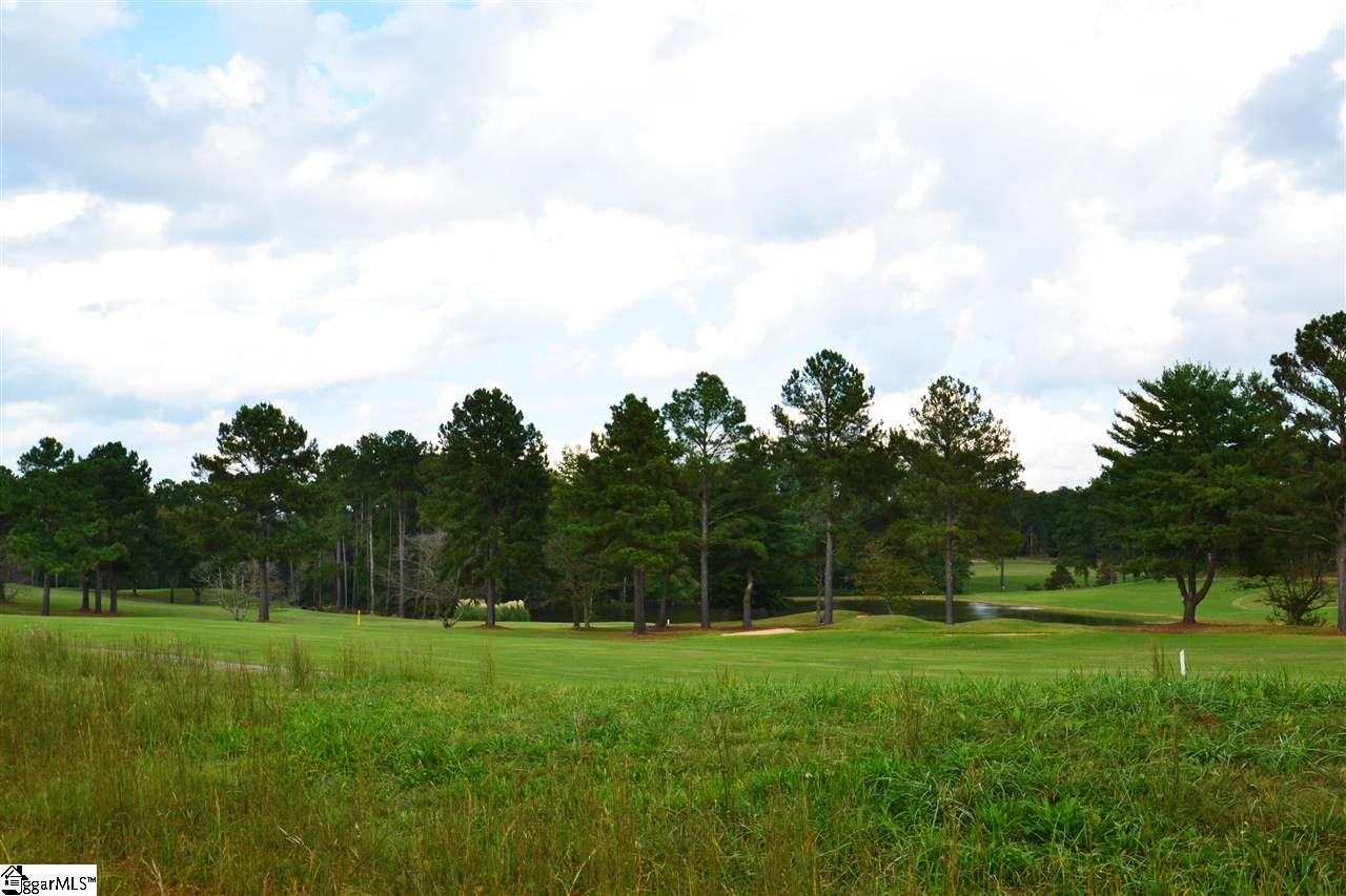 480 Nelson Road Inman, SC 29349 - Photo 18 of 18