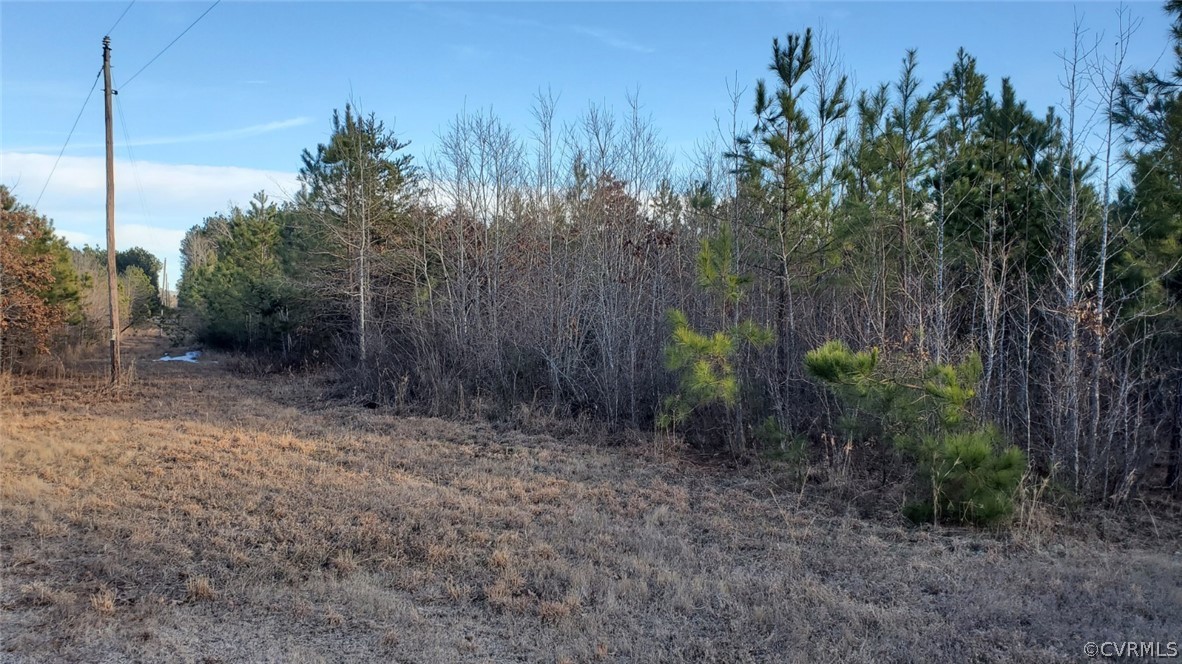 45.37-acres Friend Road Blackstone, VA 23824 - Photo 13 of 26 Gallery Image 13