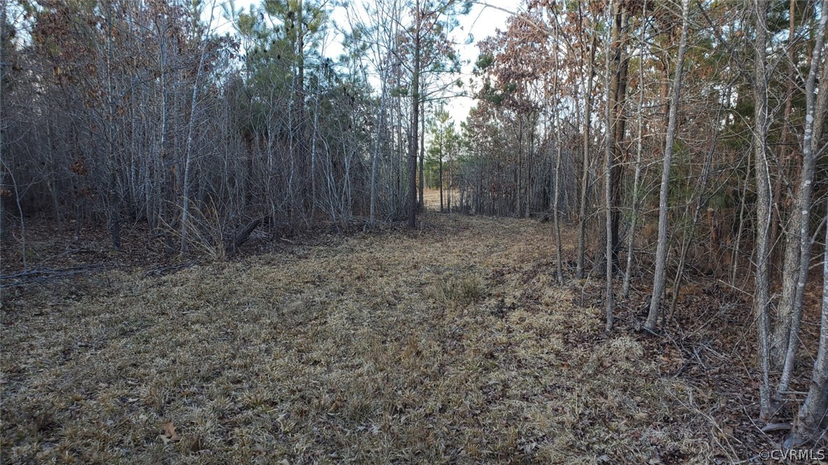 45.37-acres Friend Road Blackstone, VA 23824 - Photo 6 of 26 Gallery Image 6