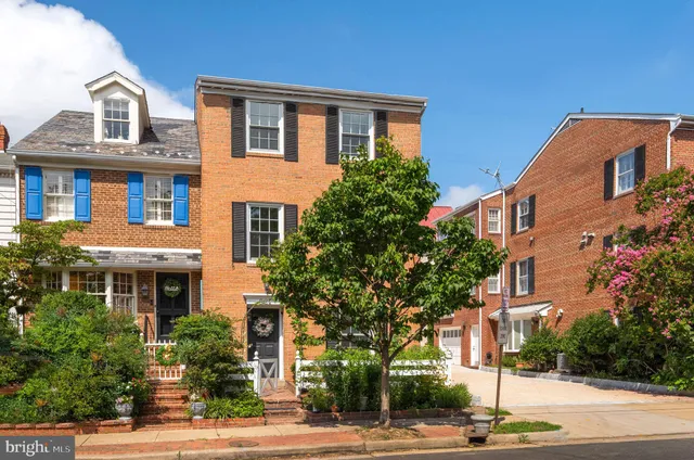 a view of flowers in bunch