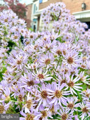 $1,295,000 | 621 South St Asaph Street, Alexandria, VA 22314