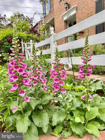 $1,375,000 | 621 South St Asaph Street, Alexandria, VA 22314