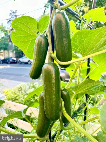 $1,375,000 | 621 South St Asaph Street, Alexandria, VA 22314