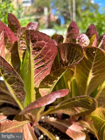 $1,295,000 | 621 South St Asaph Street, Alexandria, VA 22314