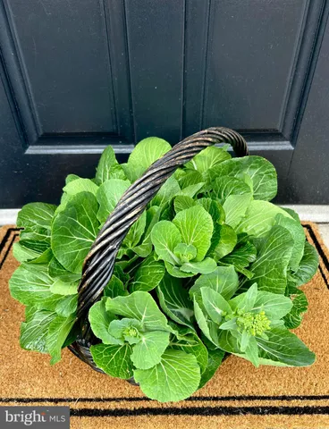 $1,375,000 | 621 South St Asaph Street, Alexandria, VA 22314