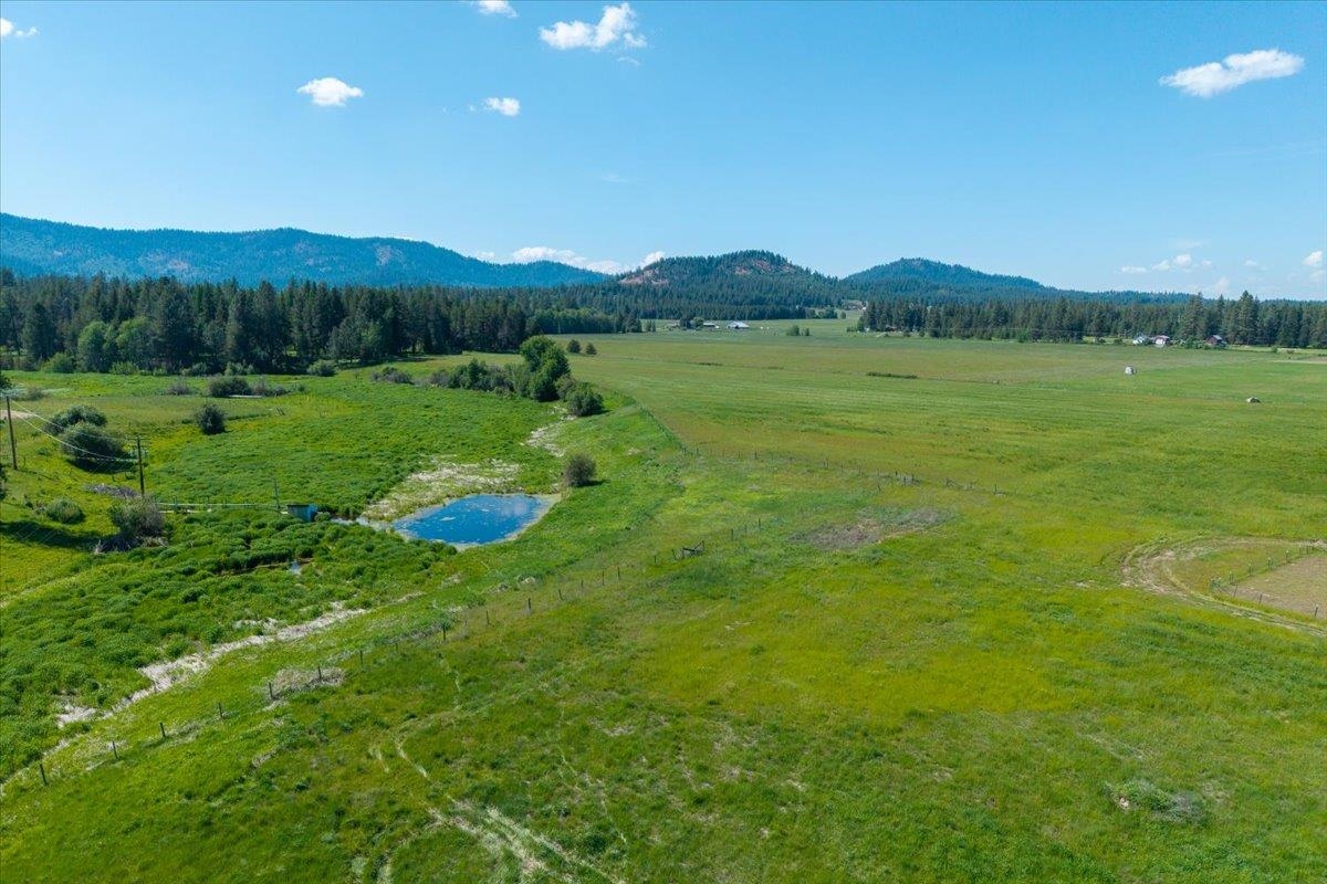 4668 Williams Valley Road Clayton, WA 99110 - Photo 38 of 44