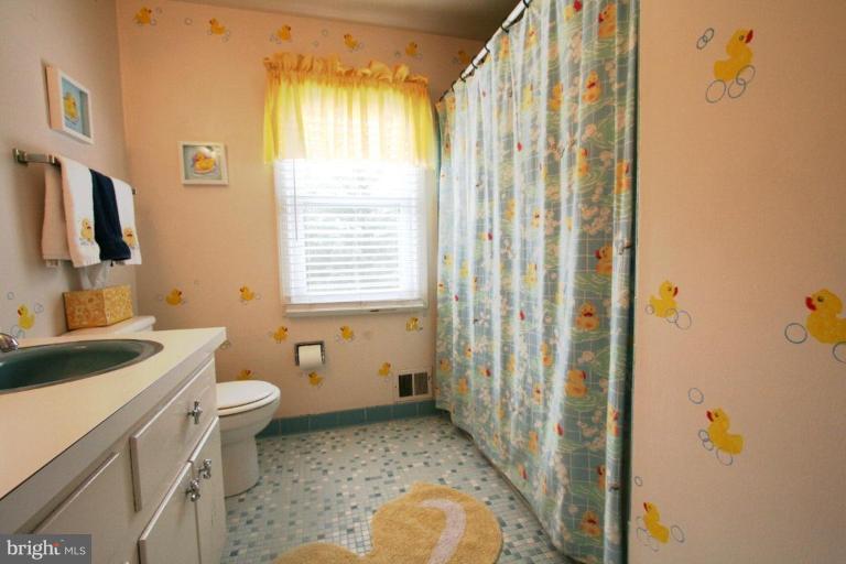 10810 Gainsborough Road Potomac, MD 20854 - Photo 22 of 29 Bath #1