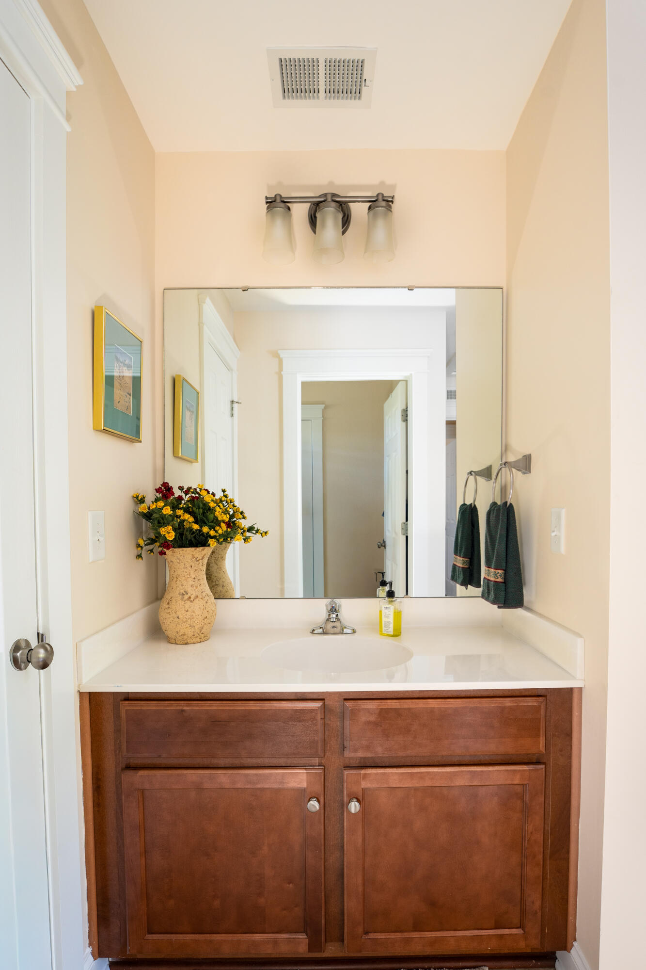 1696 Bee Balm Road Johns Island, SC 29455 - Photo 27 of 46 Bee Balm-33