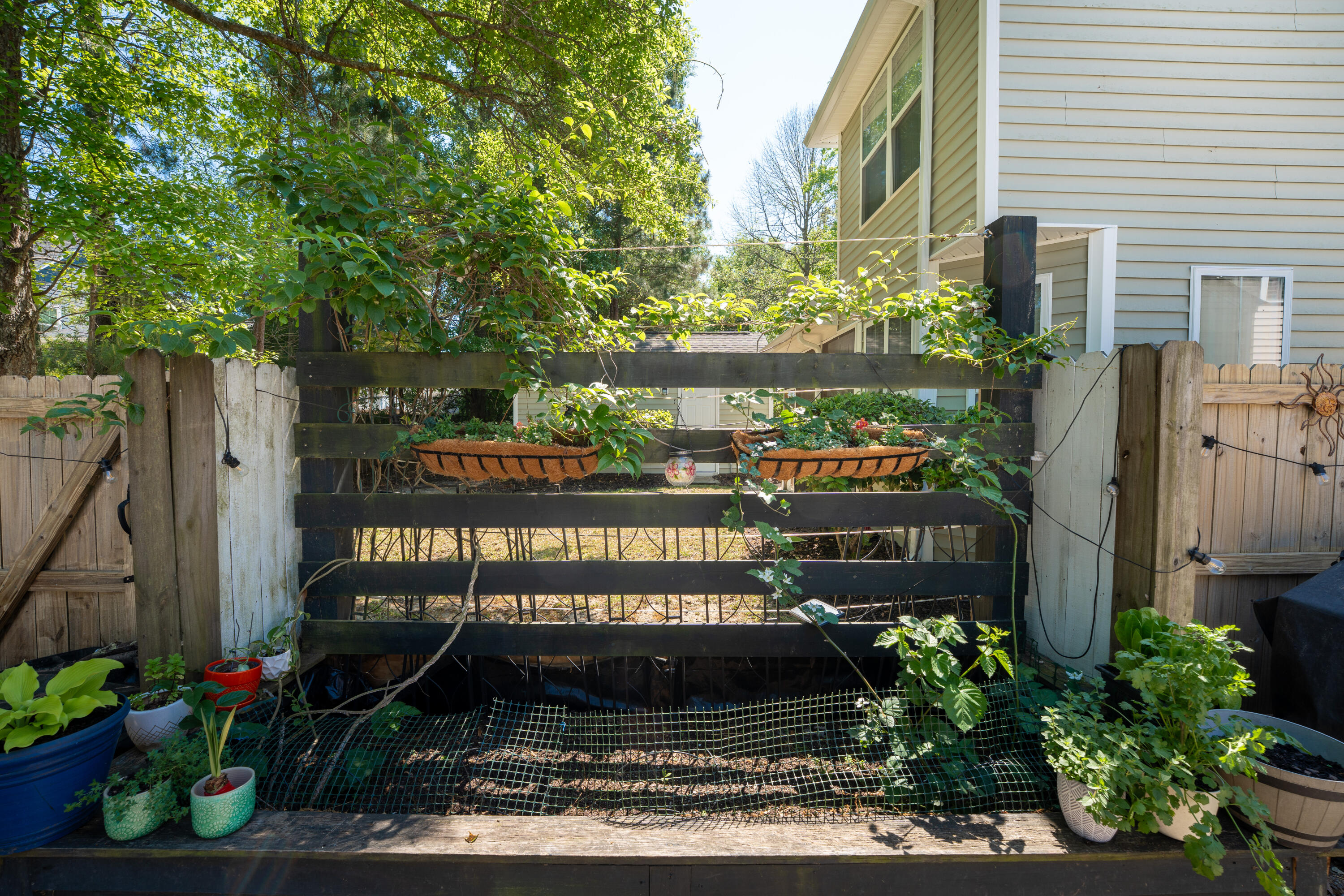 1696 Bee Balm Road Johns Island, SC 29455 - Photo 34 of 46 Bee Balm-40