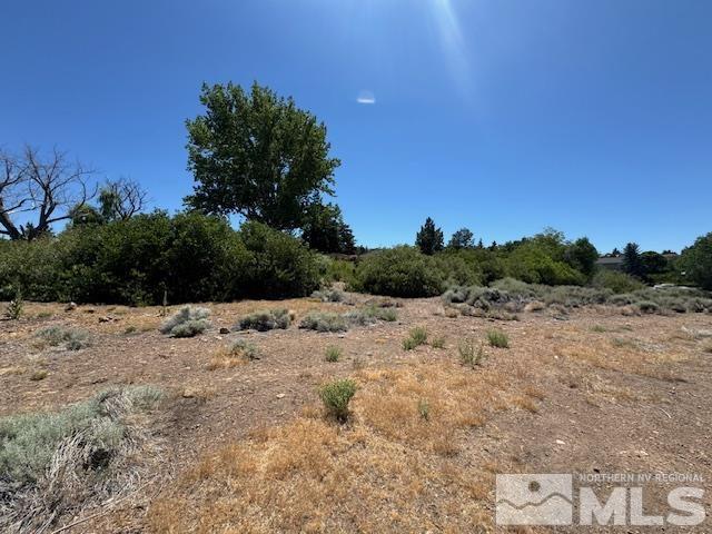 3005 Natalie Street Reno, NV 89509 - Photo 3 of 10 Photo 3