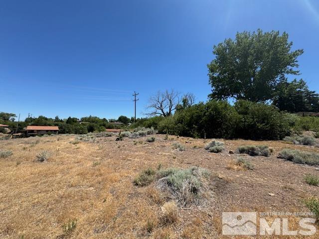 3005 Natalie Street Reno, NV 89509 - Photo 4 of 10 Photo 4