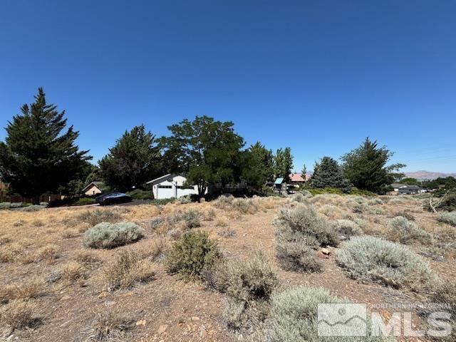 3005 Natalie Street Reno, NV 89509 - Photo 5 of 10 Photo 5