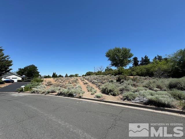 3005 Natalie Street Reno, NV 89509 - Photo 8 of 10 Photo 8