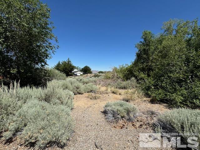 3005 Natalie Street Reno, NV 89509 - Photo 9 of 10 Photo 9