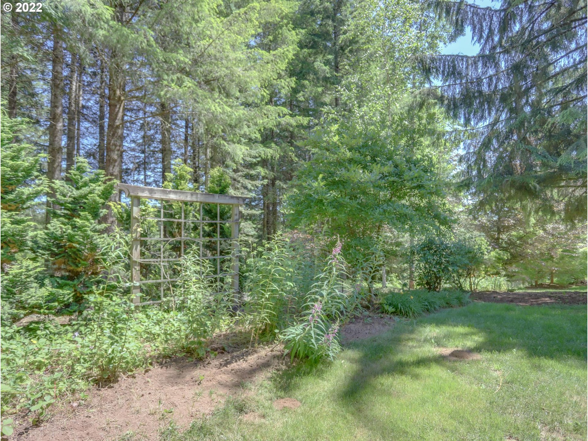 43370 Southeast Pagh Road Sandy, OR 97055 - Photo 25 of 29 a view of a green yard with large trees