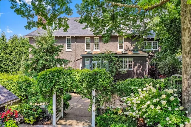 a view of a garden with plants and large trees