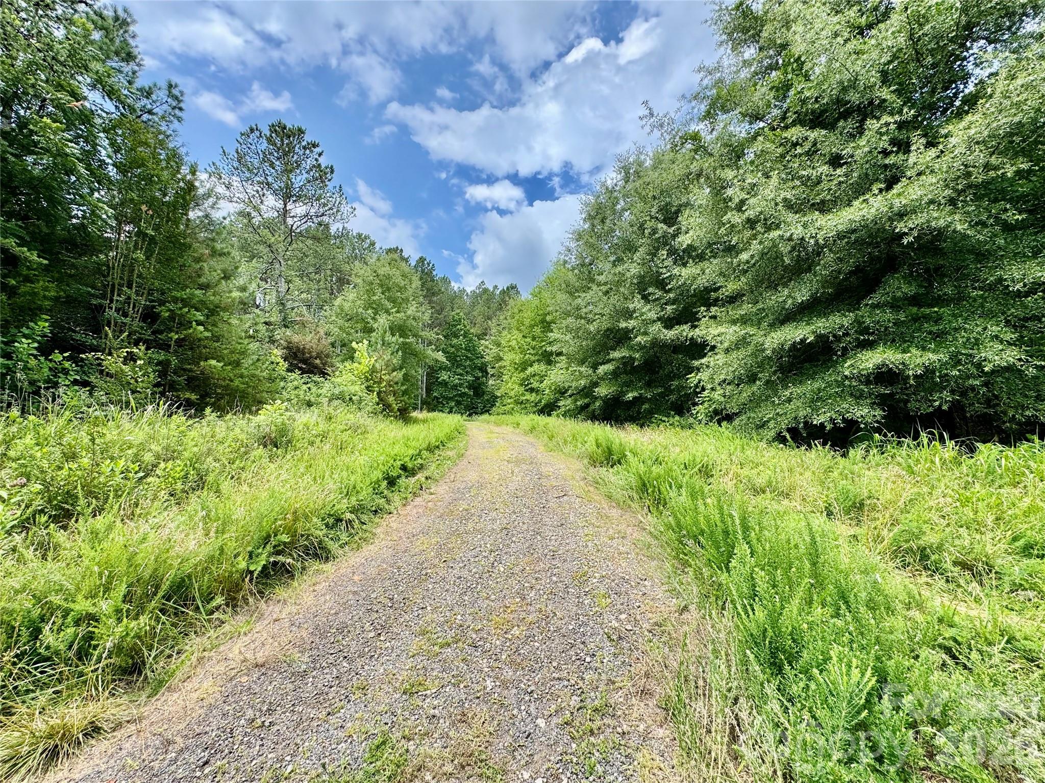 0 Butler Mill Road Harmony, NC 28634 - Photo 12 of 20
