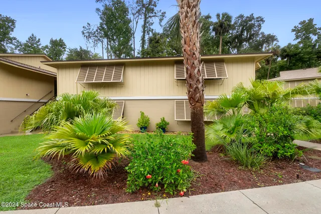 a view of a small garden
