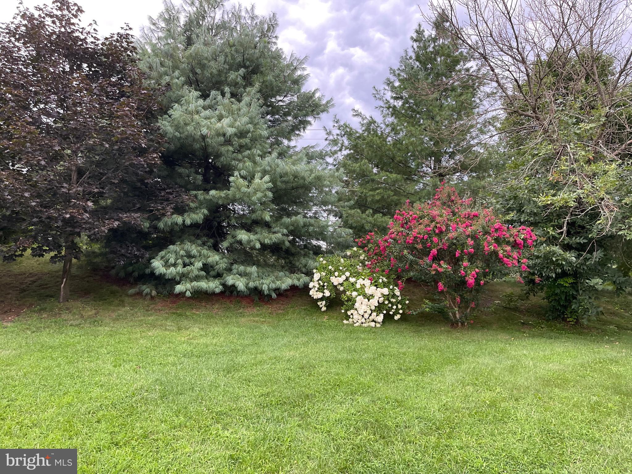 18 Jewel Road Princeton Junction, NJ 08550 - Photo 53 of 66 a garden with a tree in the background