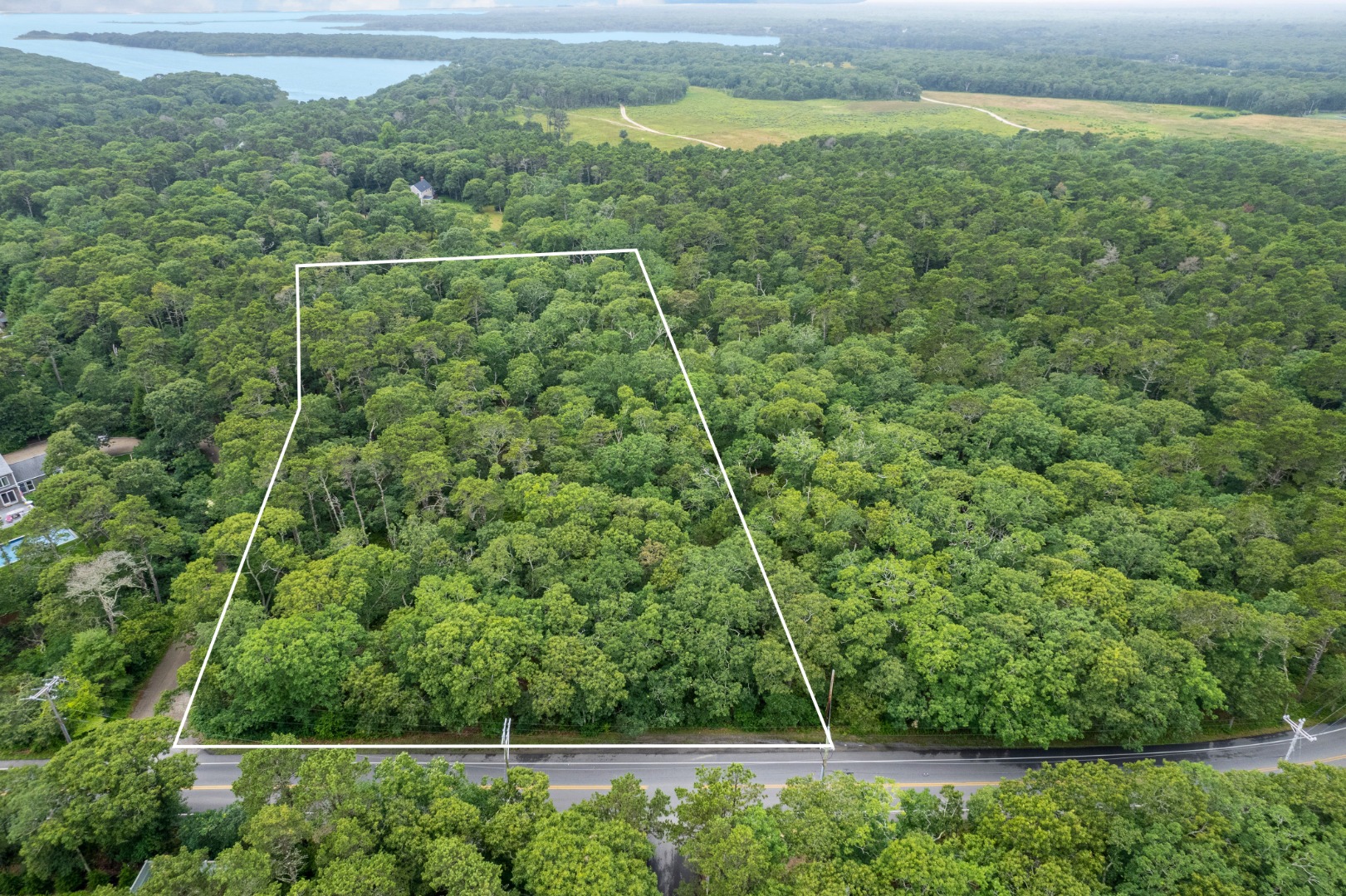 a view of a green field with lots of bushes