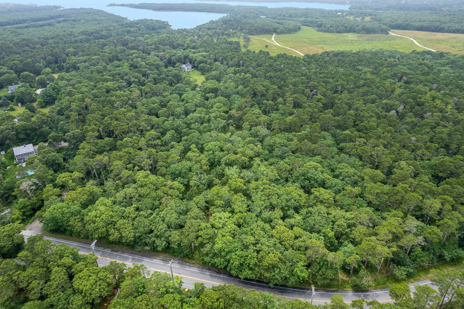 8 Meshacket Wood Road Edgartown, MA 02539 - Photo 3 of 7 a view of an outdoor space and a yard