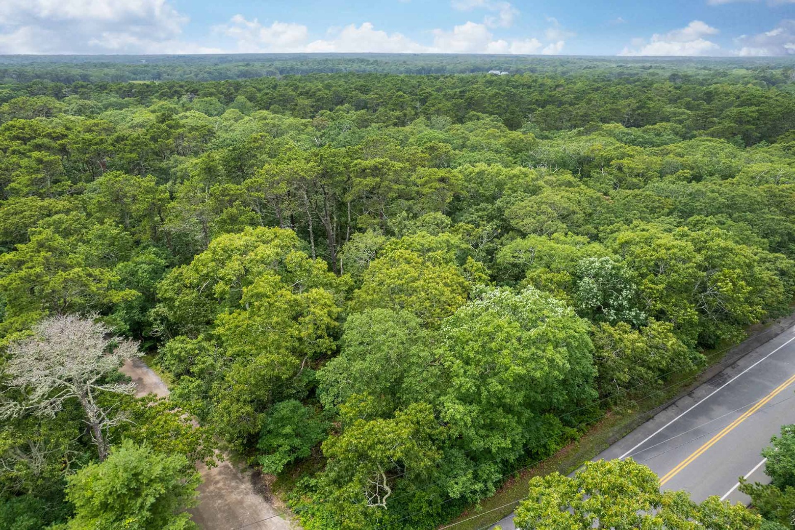 8 Meshacket Wood Road Edgartown, MA 02539 - Photo 4 of 7 a view of a green field with lots of bushes