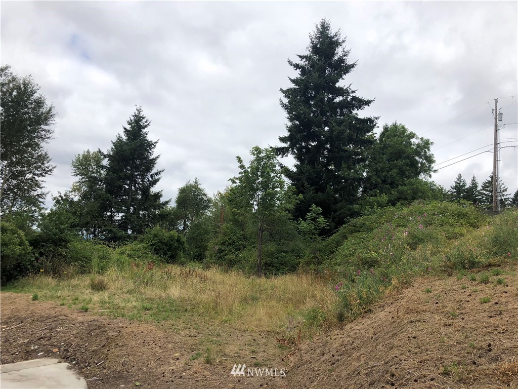 0 Paxton Road Kelso, WA 98626 - Photo 1 of 1 Gallery Image 1