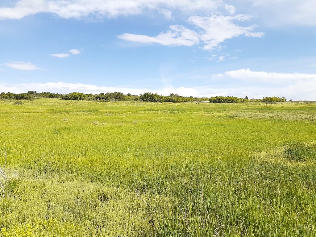 Tbd Apollo Circle Rye, CO 81069 - Photo 7 of 11