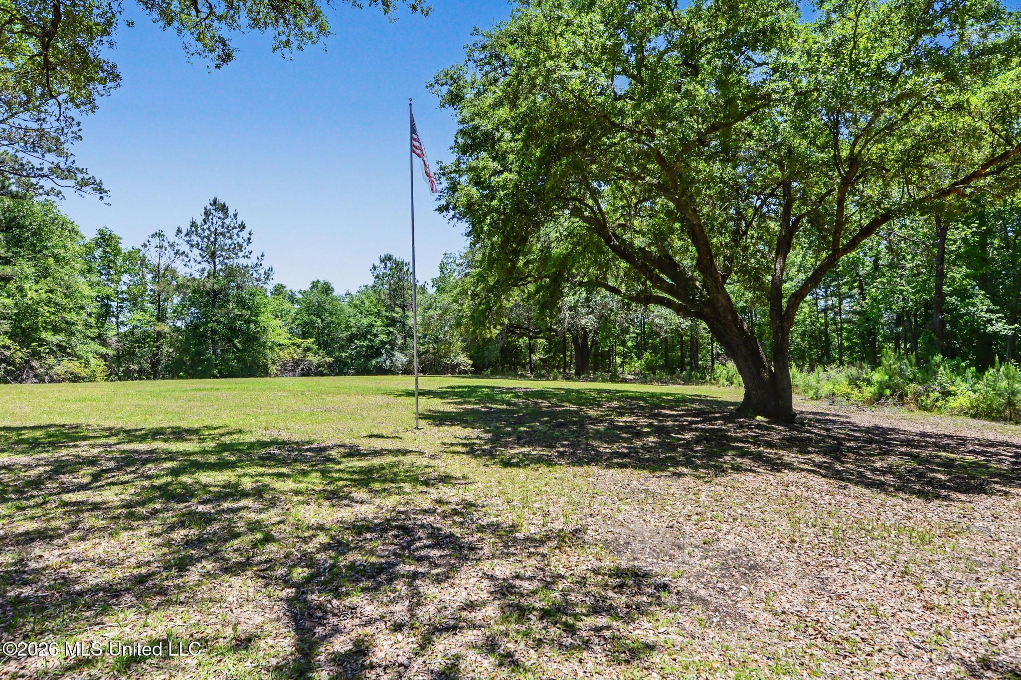 208 I J Williams Road Lucedale, MS 39452 - Photo 4 of 27 004