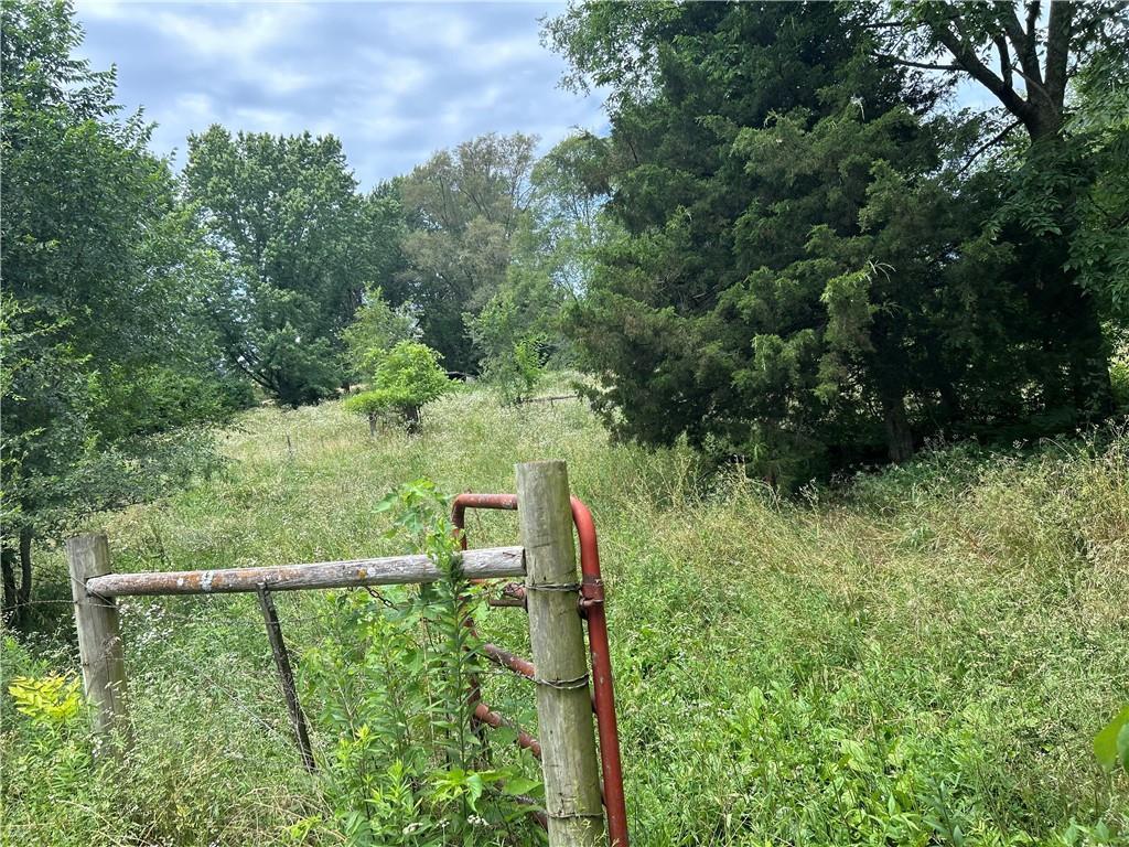 34908 East Shores Road Lone Jack, MO 64070 - Photo 28 of 32