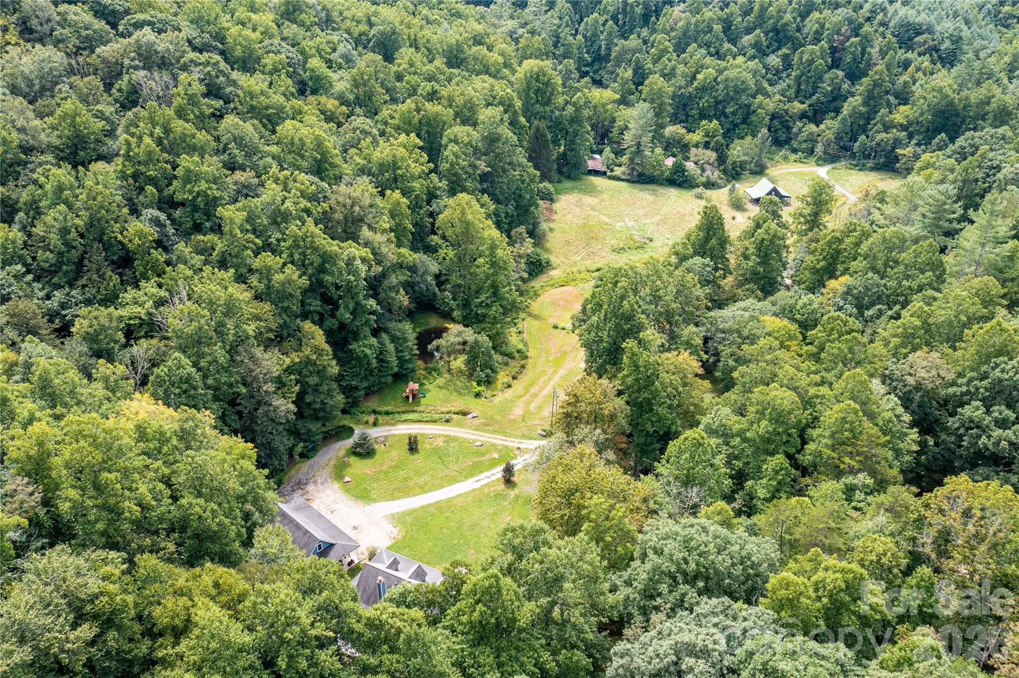 226 Wildcat Mountain Road Sylva, NC 28779 - Photo 3 of 44