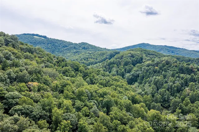 a view of a mountain range with lush green forest