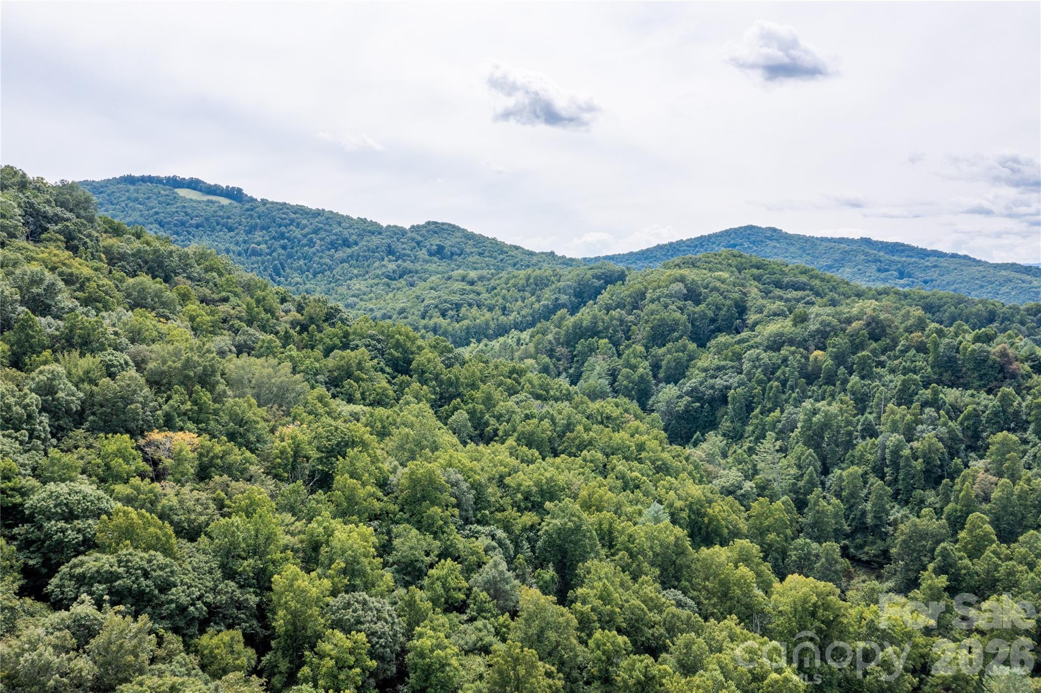 226 Wildcat Mountain Road Sylva, NC 28779 - Photo 38 of 44