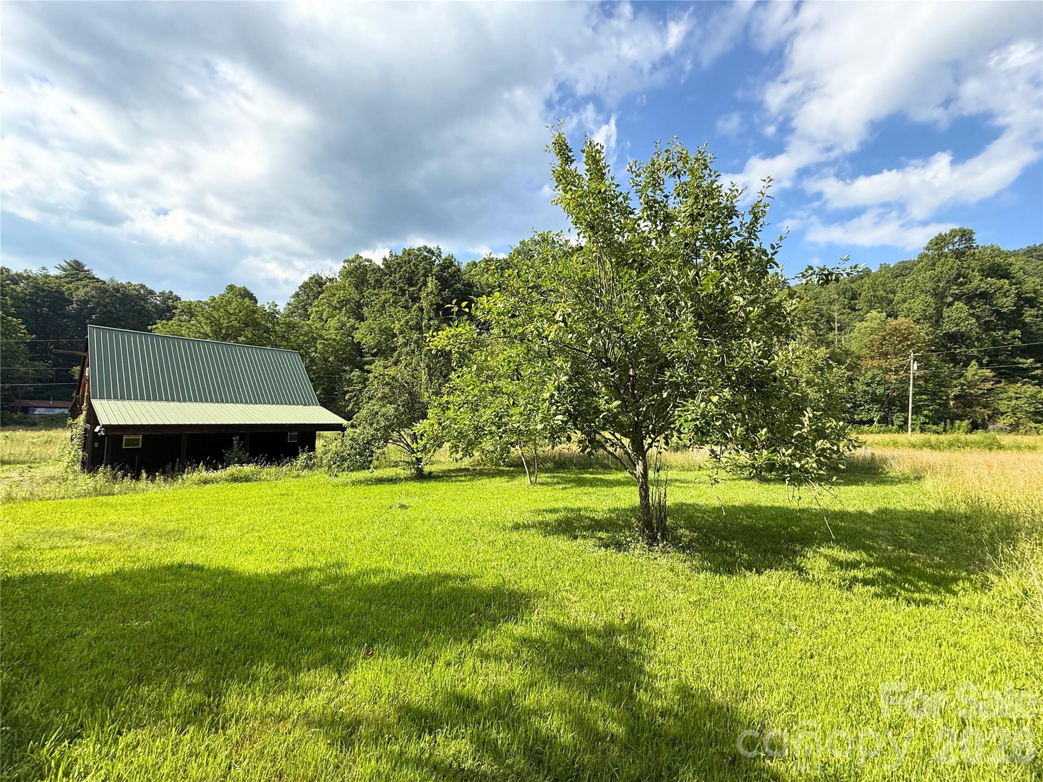 226 Wildcat Mountain Road Sylva, NC 28779 - Photo 39 of 44