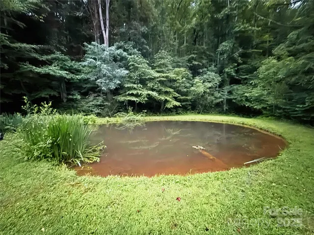 a view of swings on a tree in a yard