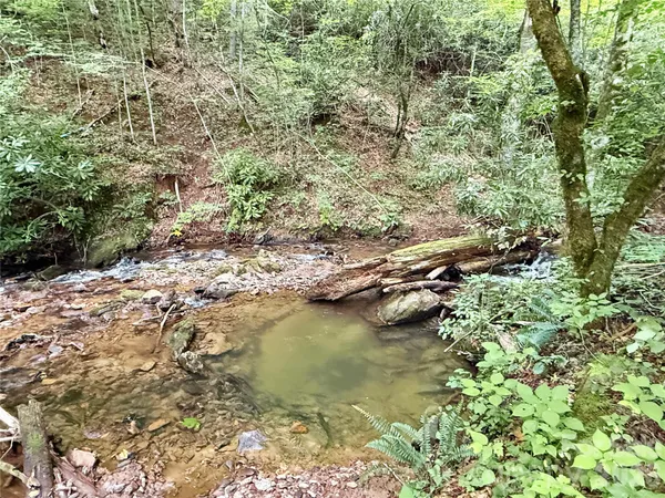 $1,100,000 | 226 Wildcat Mountain Road, Sylva, NC 28779