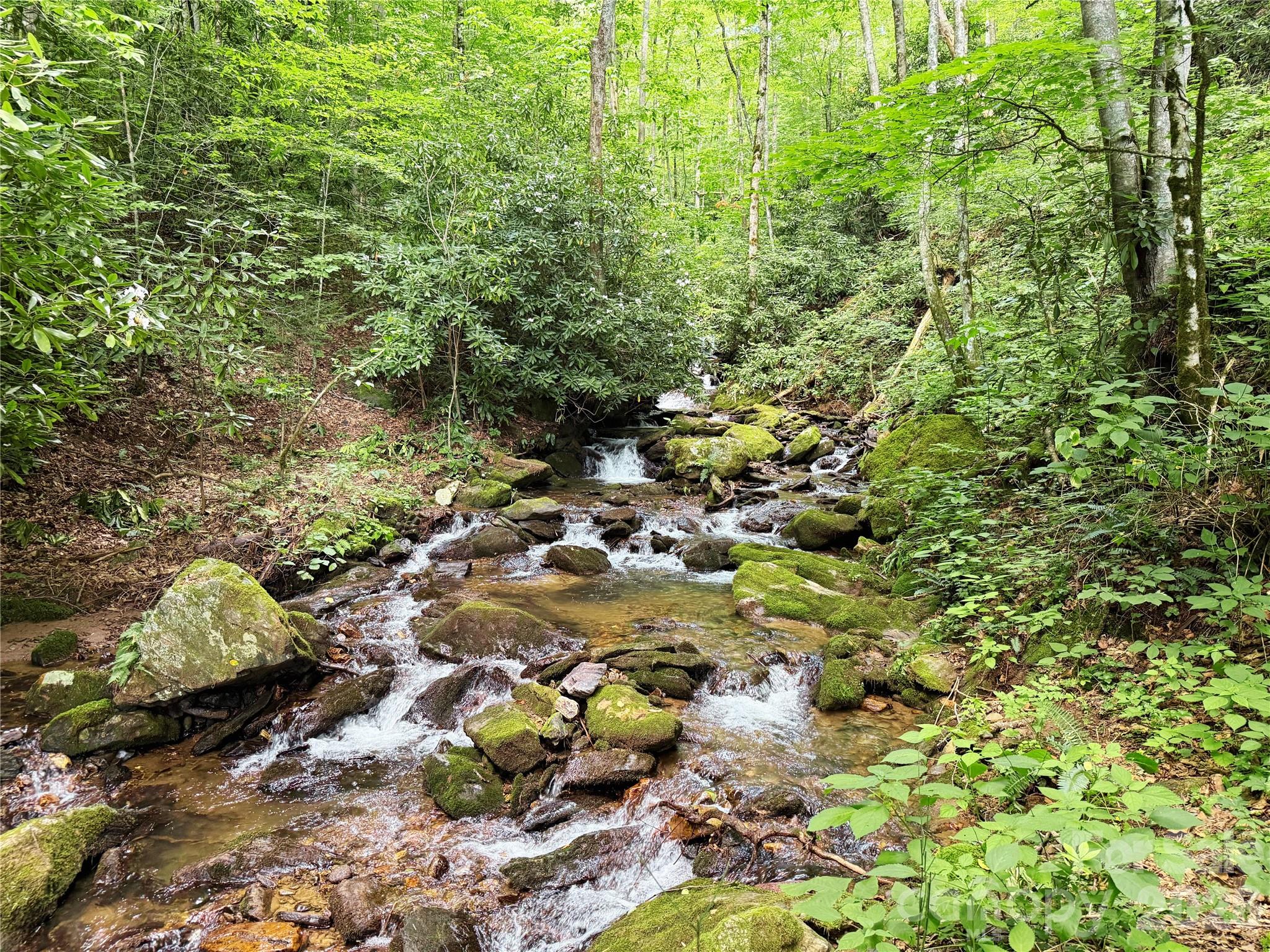 226 Wildcat Mountain Road Sylva, NC 28779 - Photo 44 of 44