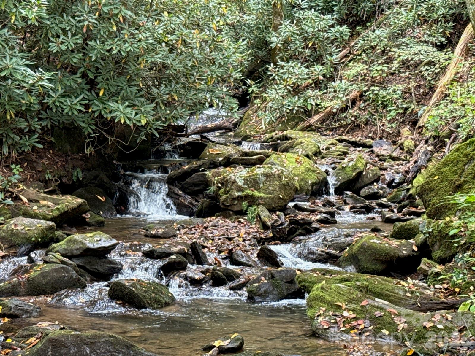 226 Wildcat Mountain Road Sylva, NC 28779 - Photo 5 of 44