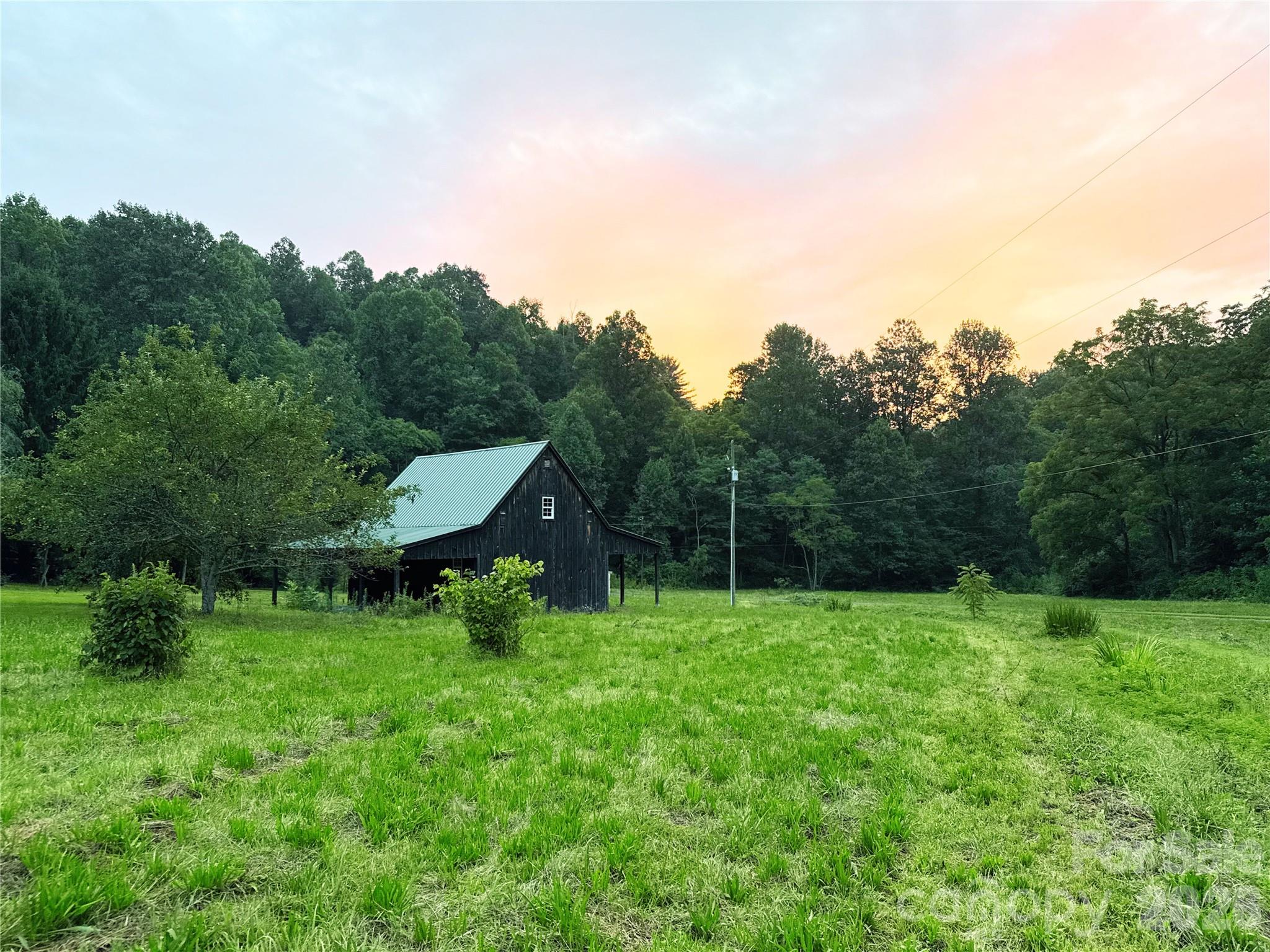 226 Wildcat Mountain Road Sylva, NC 28779 - Photo 6 of 44