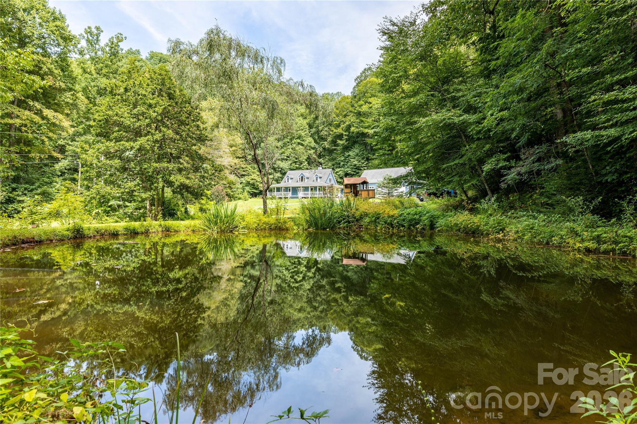 226 Wildcat Mountain Road Sylva, NC 28779 - Photo 8 of 44