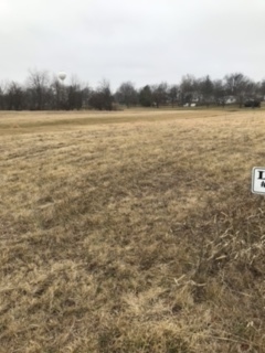 16 Boulder Drive Carlock, IL 61725 - Photo 1 of 3